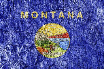Grudge stone painted US Montana flag