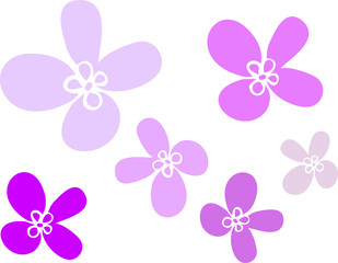 Fototapeta na wymiar Simple flowers of several sizes of purple color