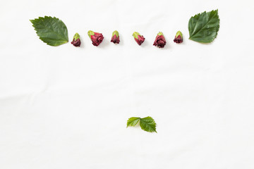 Red flower and leaf background