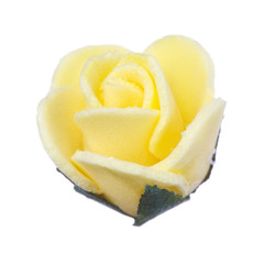 flower head isolated, beautiful decoration, spring and summer concept