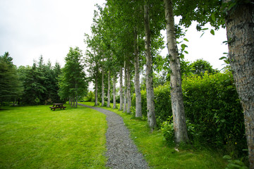 walkway in the park