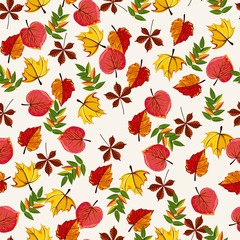 Autumn vector seamless pattern. Hand draw autumn leaves background.