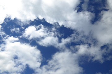 秋の雲
