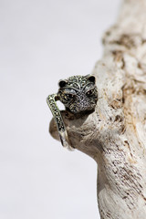 Black spinel diamond silver ring in the form of a cat's head.