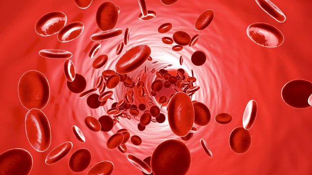 Flowing Erythrocyte Cells in a Vein or Artery.		
