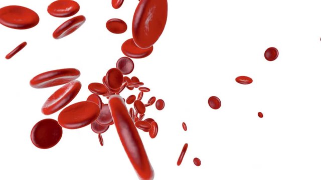 Flowing Erythrocyte cells on a green screen background.		
