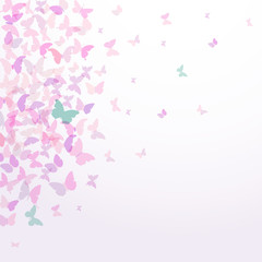 spring summer card design Colorful pink butterflies set on white background. Vector