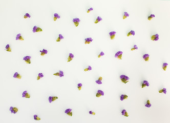 violet flower pattern