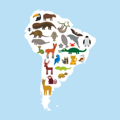 South America sloth anteater toucan lama bat fur seal armadillo boa manatee monkey dolphin Maned wolf raccoon jaguar Hyacinth macaw lizard crocodile deer penguin Blue-footed booby Capybara. Vector