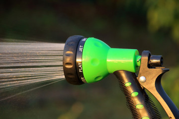 Watering flower bed with an adjustable shower (spray) in the summer evening garden