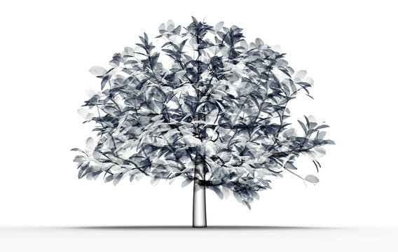 x-ray image of a tree isolated on white