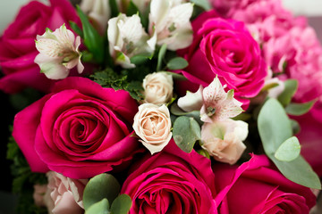 Pink roses blossom