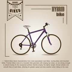 Hybrid bike