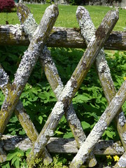 Wooden lattice fence covered in lichen and moss in a lakeside village in Switzerland