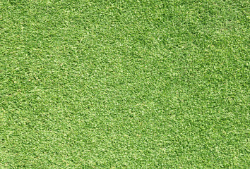 Green grass background