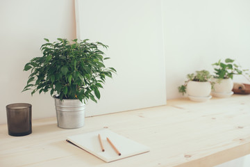 Hipster artist's work space, plants and canvas