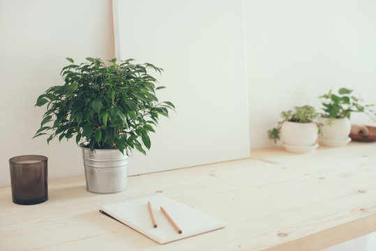 Hipster artist's work space, plants and canvas