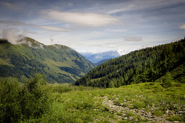 The Green Hills of the Alps