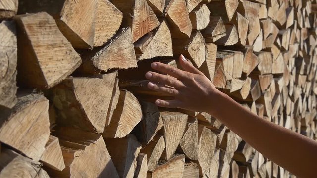 Woman hand moves among the woodpile