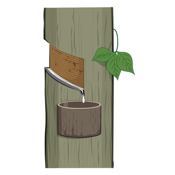 Natural latex dripping from a rubber tree (Hevea Brasiliensis) ,Vector Illustration