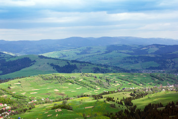 Fototapeta na wymiar landscape of a Carpathians mountains with grassy valley, fir-tre