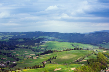 Fototapeta na wymiar landscape of a Carpathians mountains with grassy valley, fir-tre