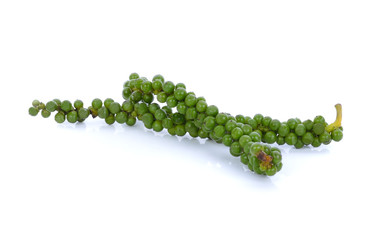 pepper and young pepper