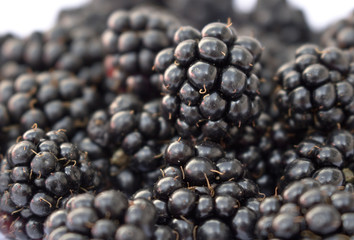 Blackberries Close Up