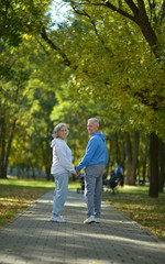 Fototapeta na wymiar Senior couple in autumn park