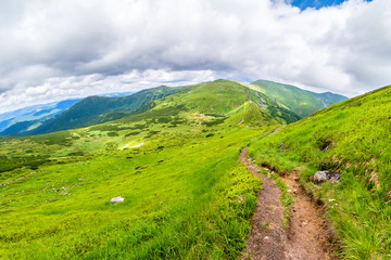 Carpathian Mountains. Mountain trail to the highest mountain of Ukraine Hoverla. Chornogora ridge.