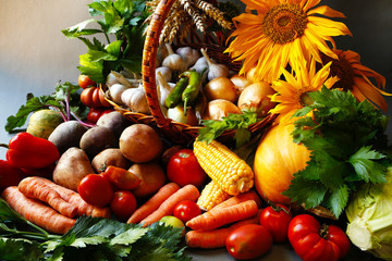 Different fruits of summer