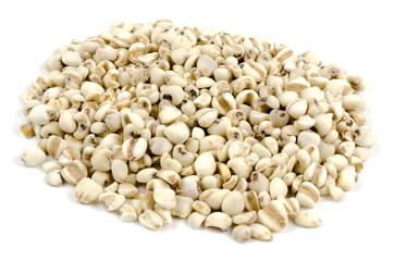 job's tears isolate photo on white background