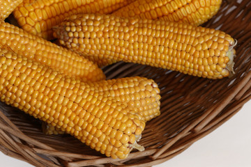 maize crop in a wicker basket