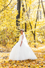 beautiful bride in the autumn park