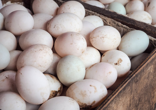 Organic duck eggs at the local farmers market