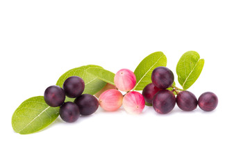 Carunda or Karonda on white background