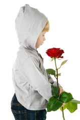 little beautiful boy with rose isolated