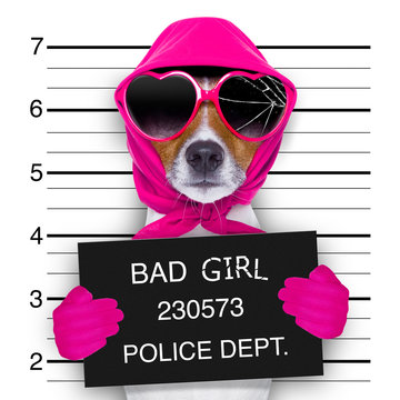 mugshot lady dog