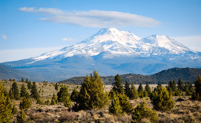 Fototapeta premium Mount Shasta