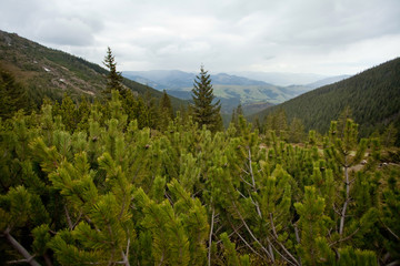 Fototapeta premium Mountain landscape. Carpathian, Ukraine