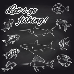 White hand drawn fish on chalkboard and text Lets go fishing. Vector illustration