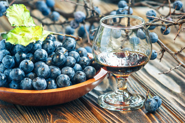 Sloe gin. Glass of blackthorn homemade light sweet reddish-brown liquid. Sloe-flavoured liqueur or wine decorated with fresh juicy ripe prunus spinosa berries on wooden background. Selective focus