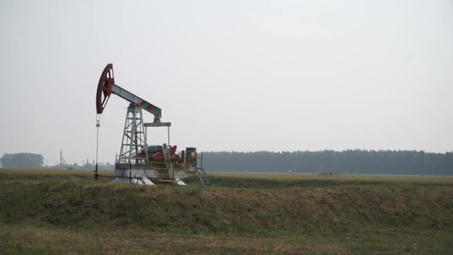 Oil rig in a cornfield