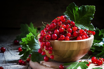 Red currants in bowl, selective focus