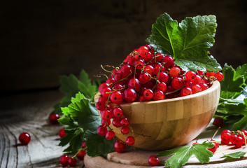 Red currants in bowl, selective focus