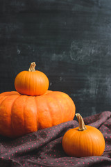 three pumpkins on a black background