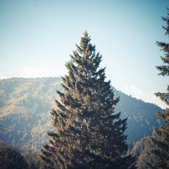 layers of mountains, great panorama and landscape