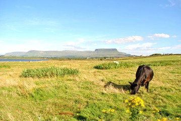 Sligo Streedagh Point