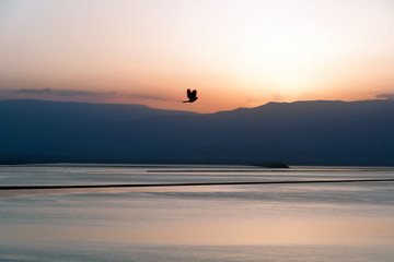 Dawn of the Dead Sea.