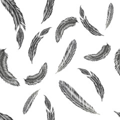 Hand drawn feather illustration. Feather pattern on white background.